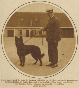 871250 Portret van P. Verkerk uit Utrecht, met zijn prijswinnende hond de Groenendaeler Tino.